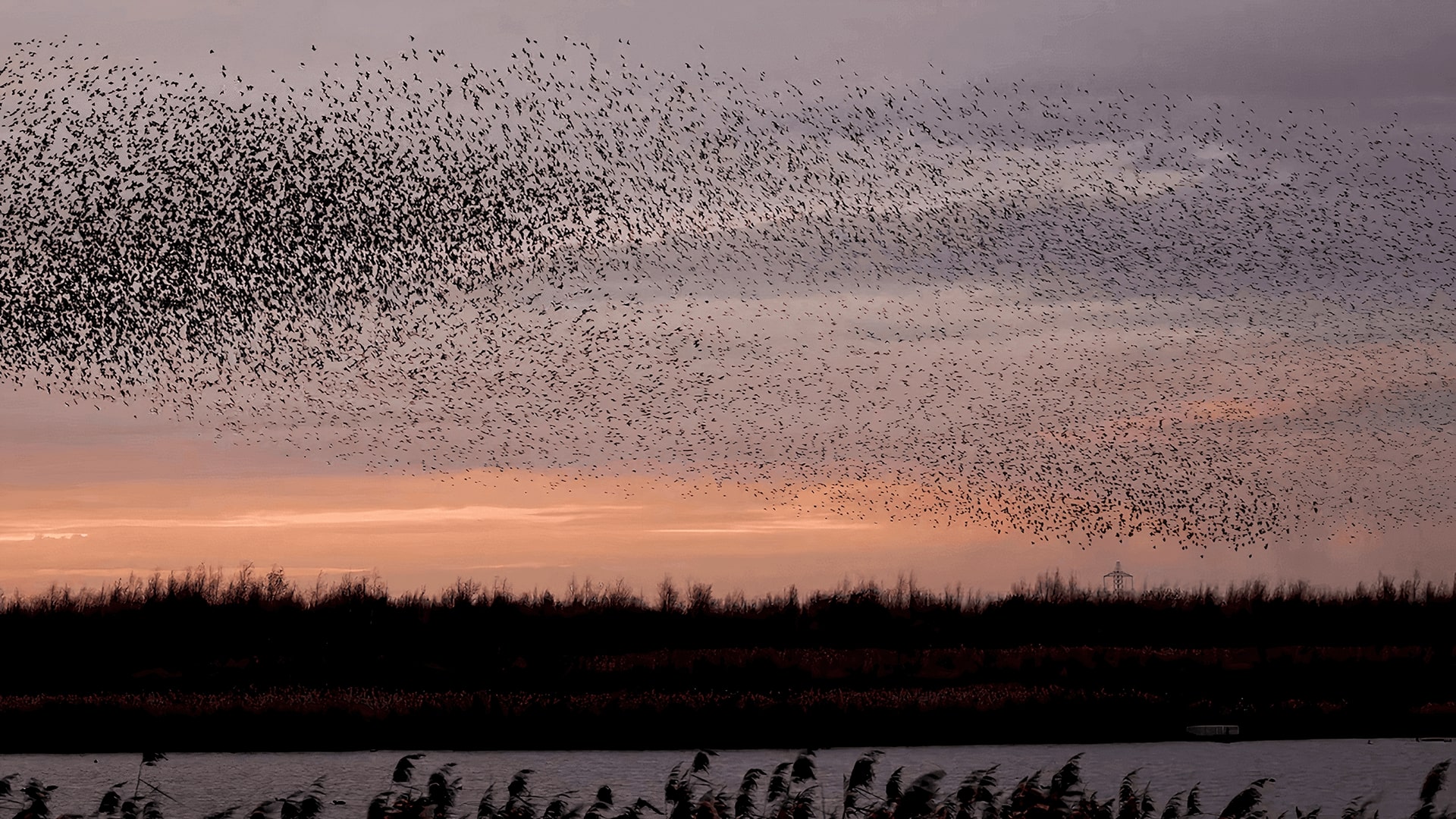 The calm before the swarm: a primer on swarming technology